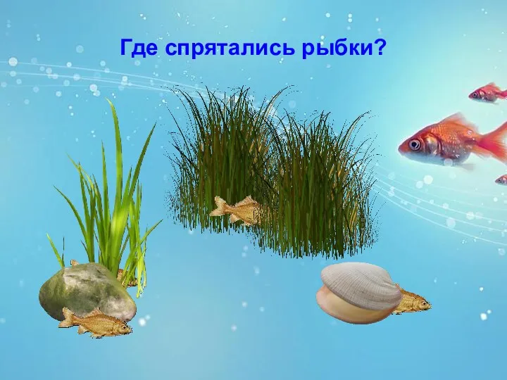 Где спрятались рыбки?