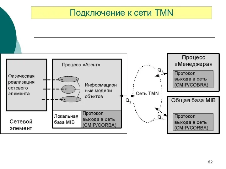 Подключение к сети TMN