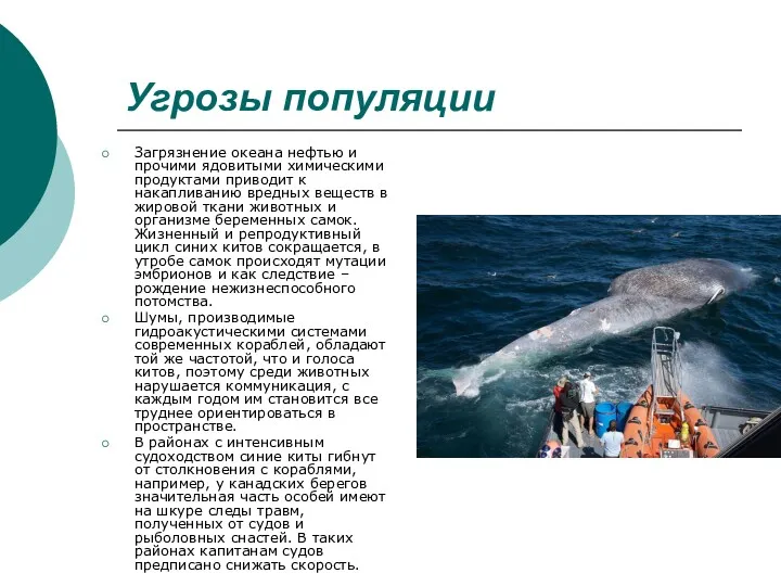 Угрозы популяции Загрязнение океана нефтью и прочими ядовитыми химическими продуктами