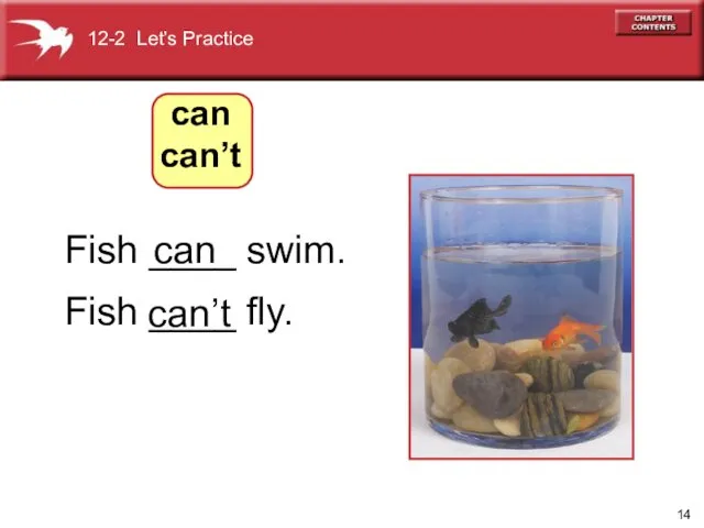 Fish ____ swim. Fish ____ fly. 12-2 Let’s Practice can can’t can can’t