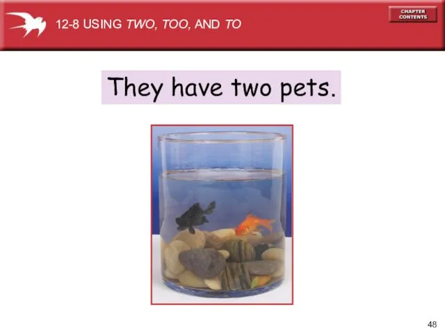 They have two pets. 12-8 USING TWO, TOO, AND TO