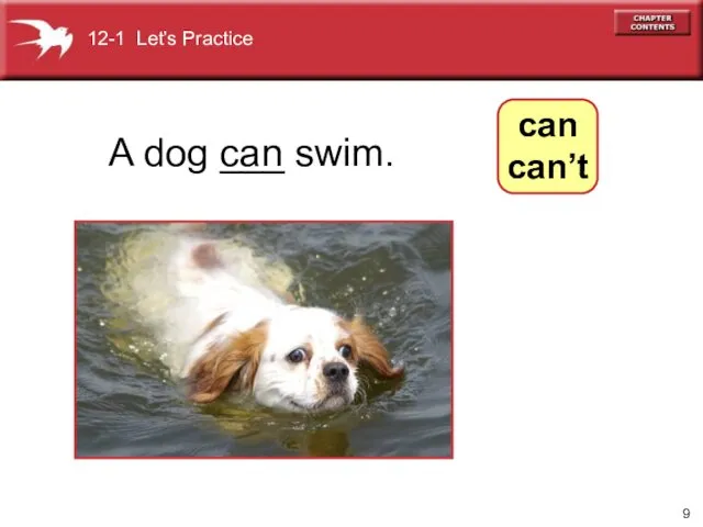 A dog ___ swim. can 12-1 Let’s Practice can can’t