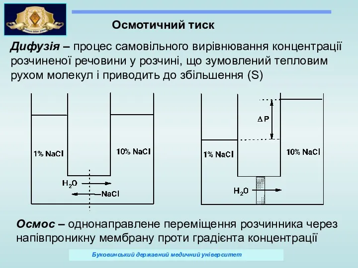 Осмотичний тиск Дифузія – процес самовільного вирівнювання концентрації розчиненої речовини