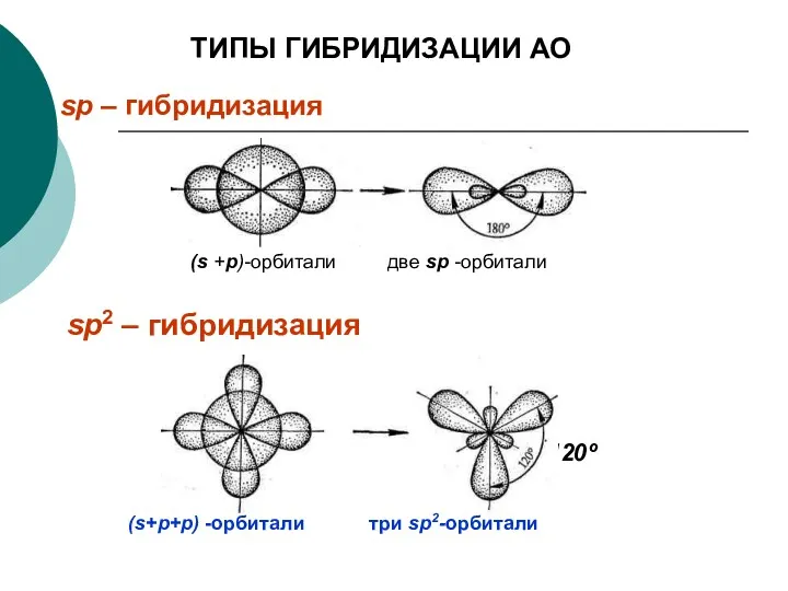 sp2 – гибридизация ТИПЫ ГИБРИДИЗАЦИИ АО sp – гибридизация 120º