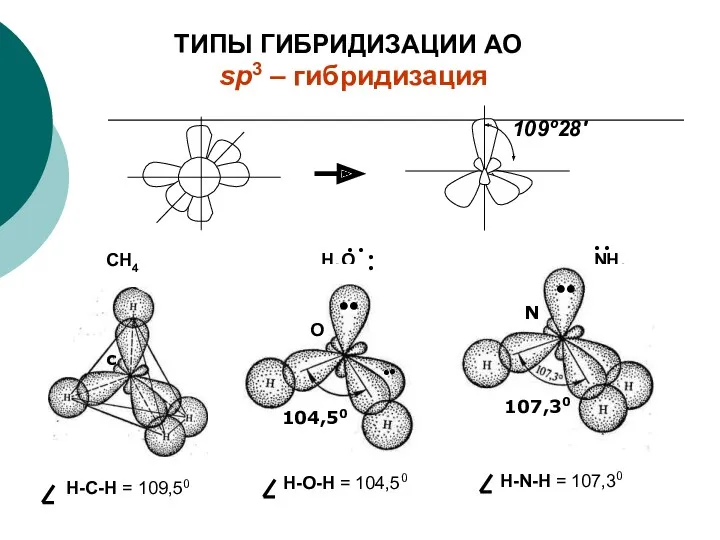 sp3 – гибридизация CН4 Н2О NН3 О N C 104,50