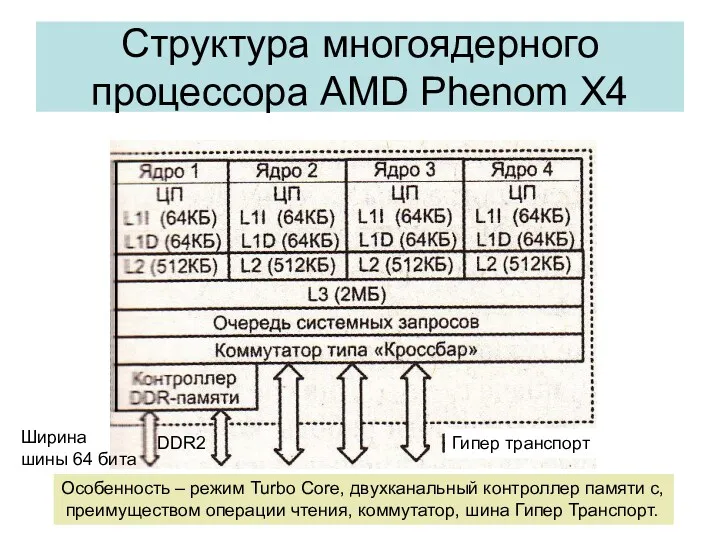 Структура многоядерного процессора AMD Phenom X4 DDR2 Ширина шины 64