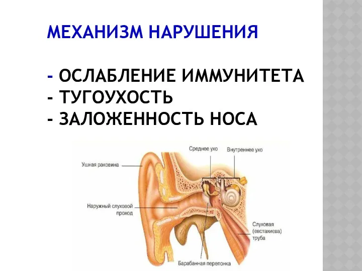 МЕХАНИЗМ НАРУШЕНИЯ - ОСЛАБЛЕНИЕ ИММУНИТЕТА - ТУГОУХОСТЬ - ЗАЛОЖЕННОСТЬ НОСА