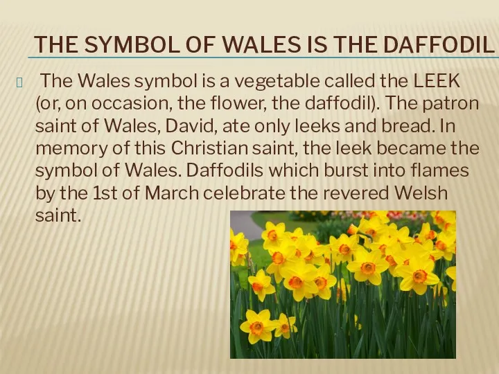 THE SYMBOL OF WALES IS THE DAFFODIL The Wales symbol