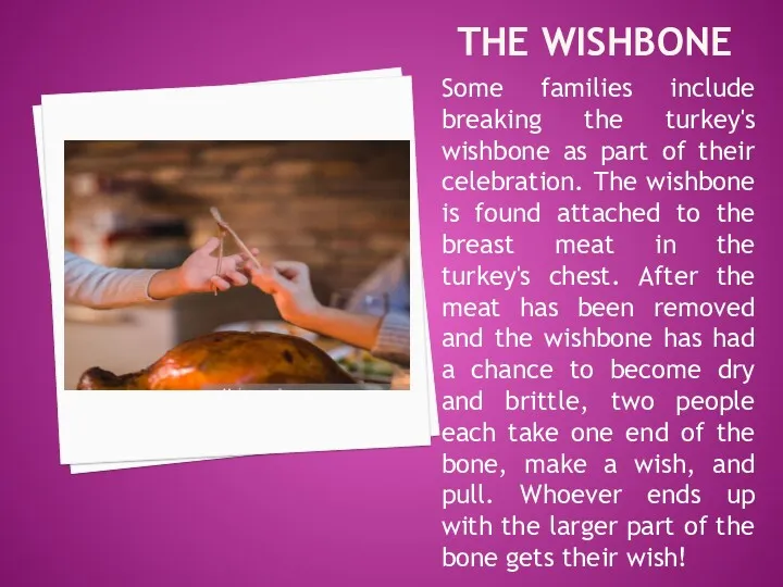 THE WISHBONE Some families include breaking the turkey's wishbone as