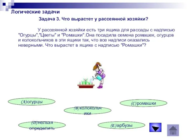 Логические задачи Задача 3. Что вырастет у рассеянной хозяйки? У