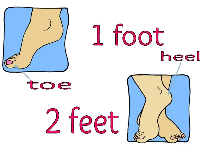 1 foot 2 feet toe heel