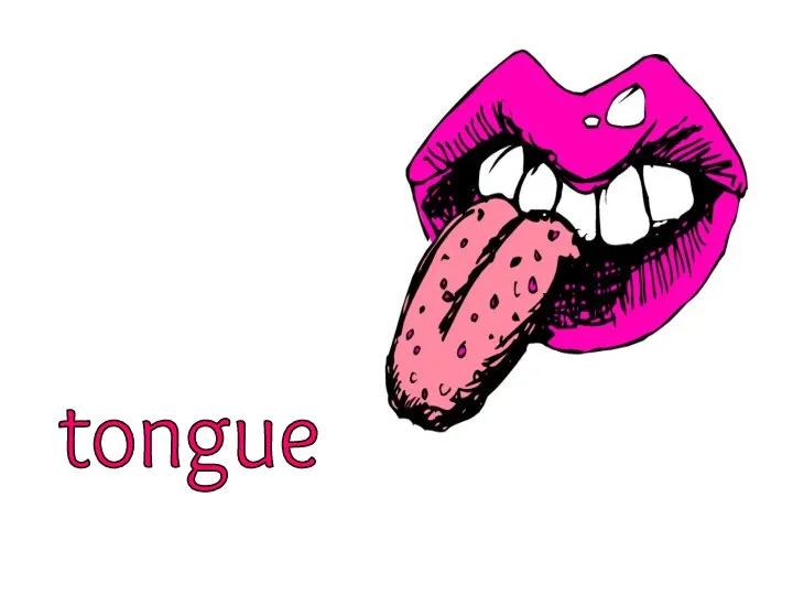 tongue