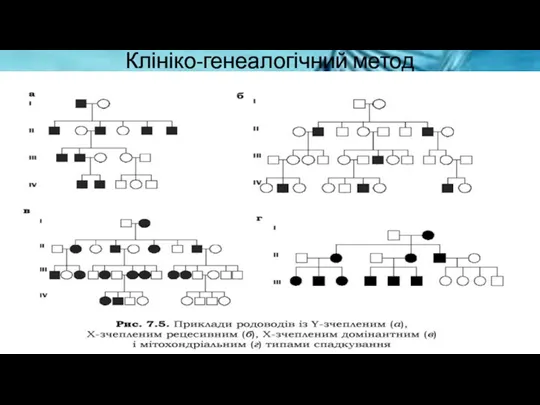 Клініко-генеалогічний метод