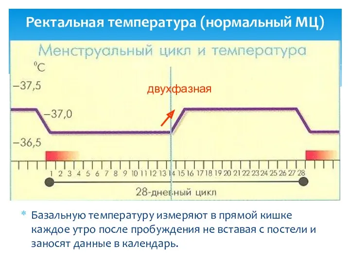 Ректальная температура (нормальный МЦ) Базальную температуру измеряют в прямой кишке каждое утро после