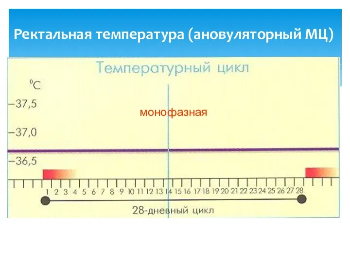 Ректальная температура (ановуляторный МЦ) монофазная