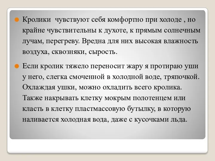 Кролики чувствуют себя комфортно при холоде , но крайне чувствительны