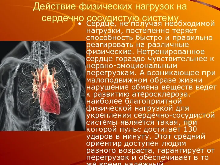 Действие физических нагрузок на сердечно сосудистую систему Сердце, не получая