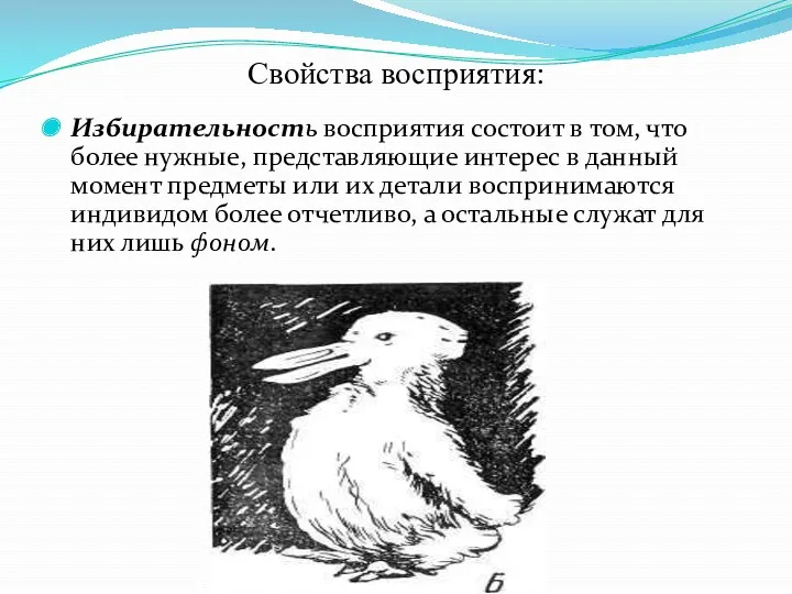 Свойства восприятия: Избирательность восприятия состоит в том, что более нужные,