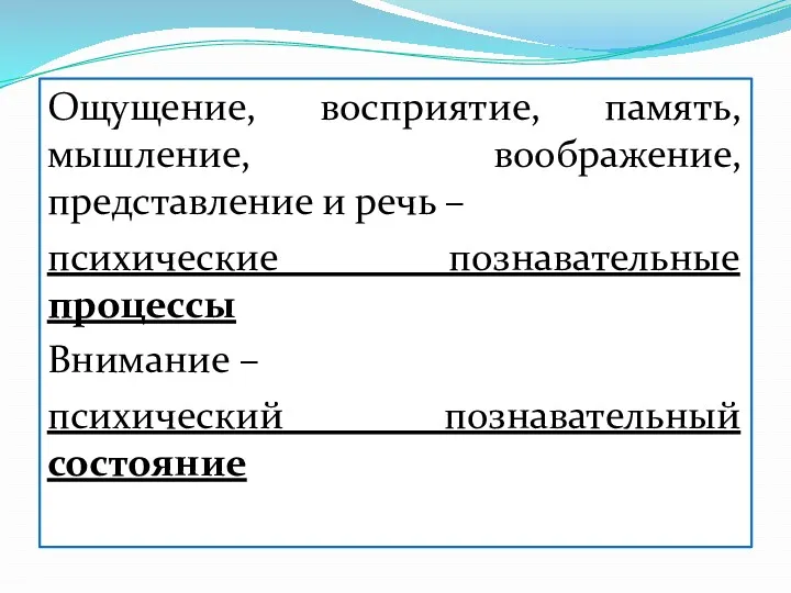 Ощущение, восприятие, память, мышление, воображение, представление и речь – психические