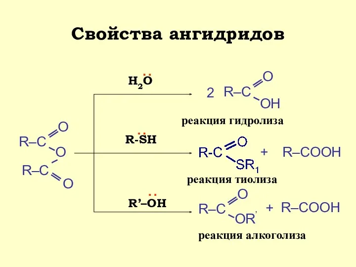 Свойства ангидридов Н2О : ОН 2 R’–OH : OR’ +