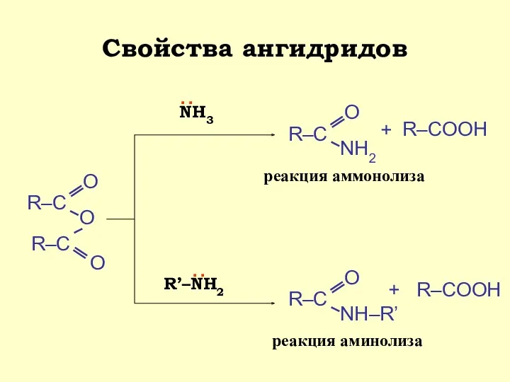 Свойства ангидридов NH3 : NH2 + R–COOH R’–NH2 : NH–R’ + R–COOH реакция аммонолиза реакция аминолиза
