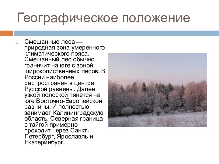 Географическое положение Смешанные леса — природная зона умеренного климатического пояса.