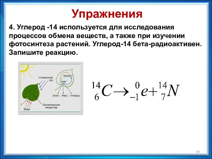 4. Углерод -14 используется для исследования процессов обмена веществ, а