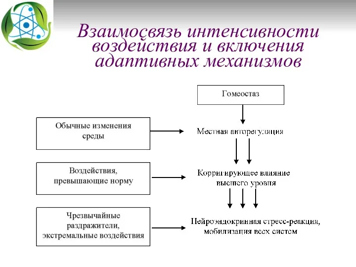 Взаимосвязь интенсивности воздействия и включения адаптивных механизмов