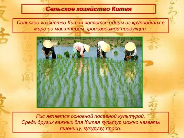 Сельское хозяйство Китая Сельское хозяйство Китая является одним из крупнейших в мире по
