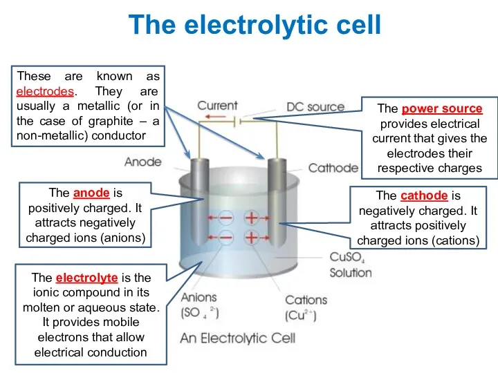 The electrolytic cell The cathode is negatively charged. It attracts