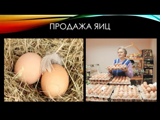 ПРОДАЖА ЯИЦ