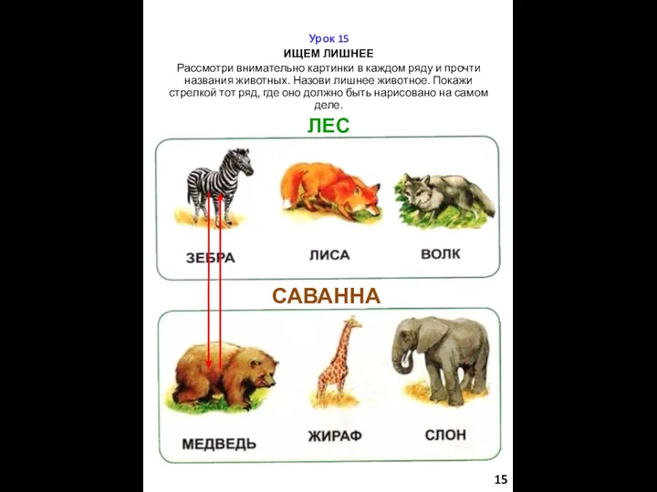 Урок 15 ИЩЕМ ЛИШНЕЕ Рассмотри внимательно картинки в каждом ряду