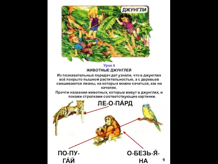 ДЖУНГЛИ Урок 8 ЖИВОТНЫЕ ДЖУНГЛЕЙ Из познавательных передач дет узнали,