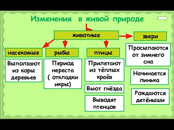 Изменения в живой природе животные насекомые рыбы птицы звери Выползают