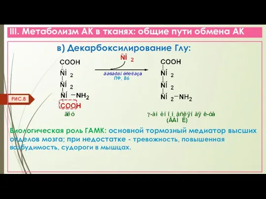 III. Метаболизм АК в тканях: общие пути обмена АК в)