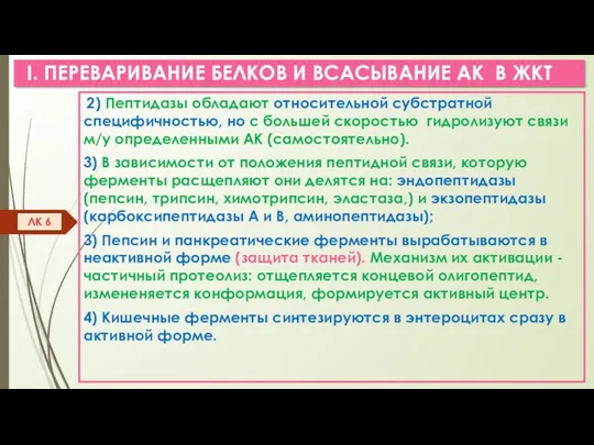 I. ПЕРЕВАРИВАНИЕ БЕЛКОВ И ВСАСЫВАНИЕ АК В ЖКТ 2) Пептидазы