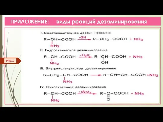 ПРИЛОЖЕНИЕ: виды реакций дезаминирования РИС.3