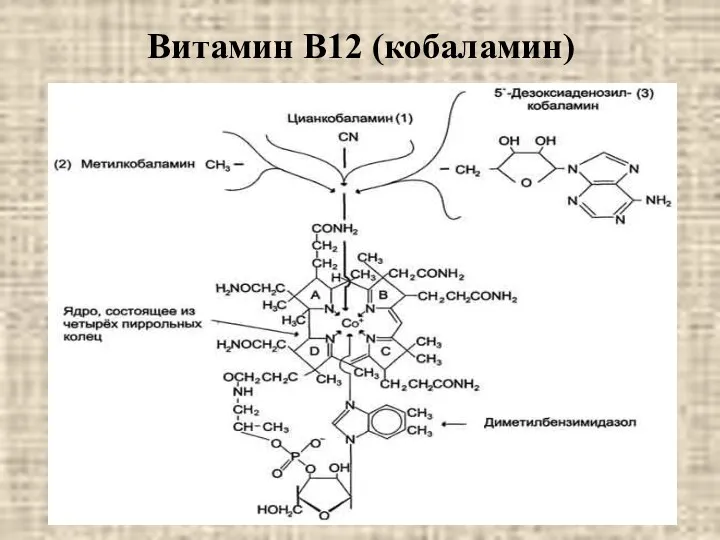 Витамин В12 (кобаламин)