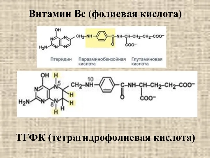Витамин Вс (фолиевая кислота) ТГФК (тетрагидрофолиевая кислота)