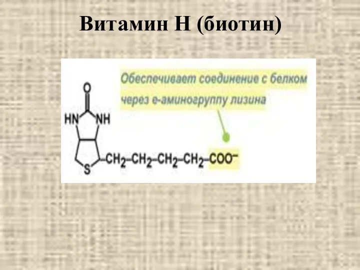 Витамин Н (биотин)