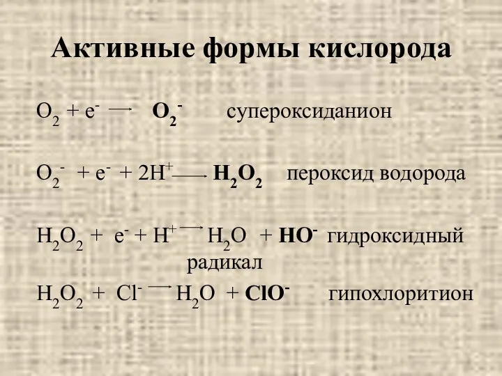 Активные формы кислорода О2 + е- О2- супероксиданион О2- +