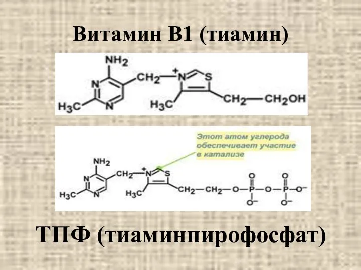 Витамин В1 (тиамин) ТПФ (тиаминпирофосфат)