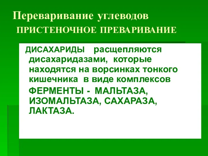 Переваривание углеводов ПРИСТЕНОЧНОЕ ПРЕВАРИВАНИЕ ДИСАХАРИДЫ расщепляются дисахаридазами, которые находятся на