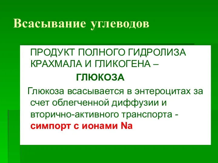 Всасывание углеводов ПРОДУКТ ПОЛНОГО ГИДРОЛИЗА КРАХМАЛА И ГЛИКОГЕНА – ГЛЮКОЗА