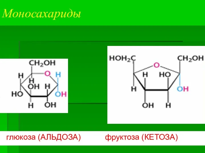 Моносахариды глюкоза (АЛЬДОЗА) фруктоза (КЕТОЗА)