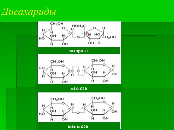 Дисахариды сахароза лактоза мальтоза