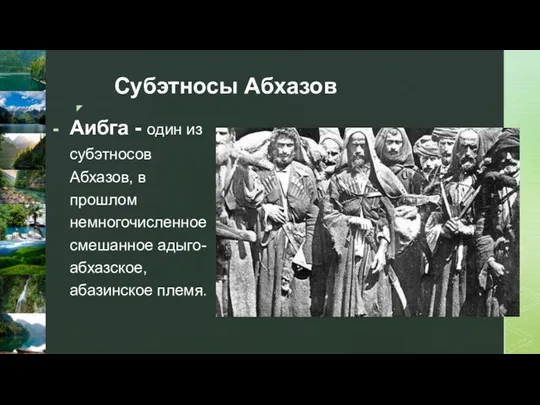 Субэтносы Абхазов Аибга - один из субэтносов Абхазов, в прошлом немногочисленное смешанное адыго-абхазское, абазинское племя.