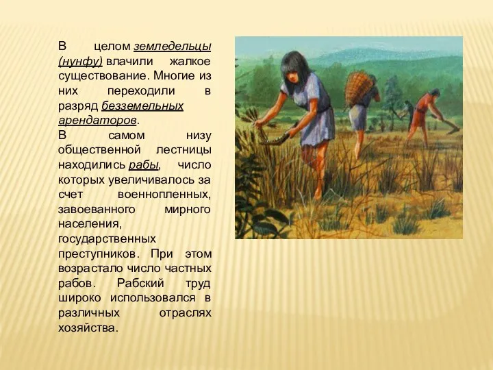 В целом земледельцы (нунфу) влачили жалкое существование. Многие из них