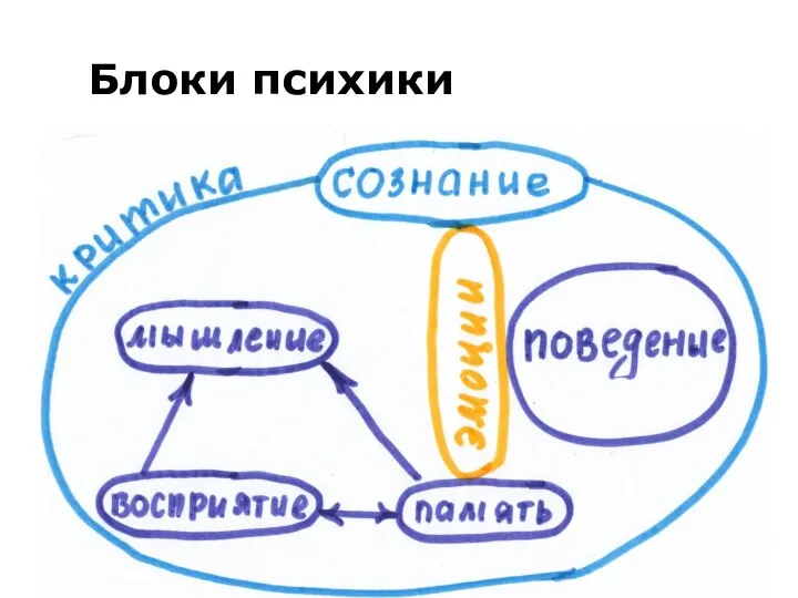 Блоки психики