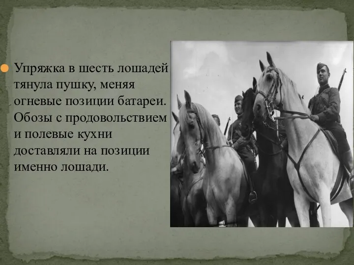 Упряжка в шесть лошадей тянула пушку, меняя огневые позиции батареи.